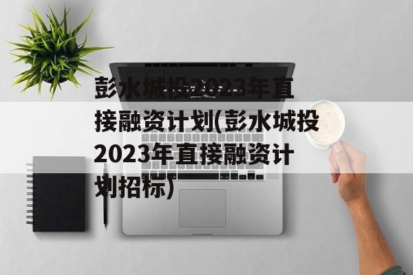 彭水城投2023年直接融资计划(彭水城投2023年直接融资计划招标)