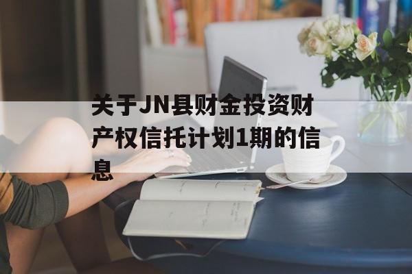 关于JN县财金投资财产权信托计划1期的信息