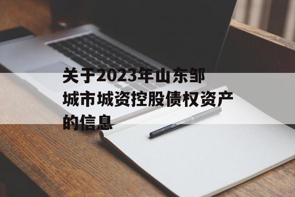 关于2023年山东邹城市城资控股债权资产的信息