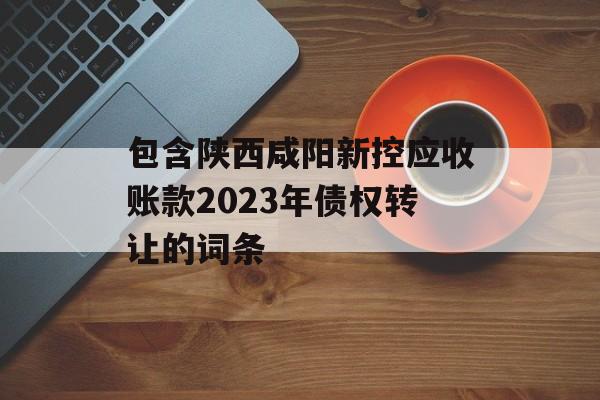 包含陕西咸阳新控应收账款2023年债权转让的词条