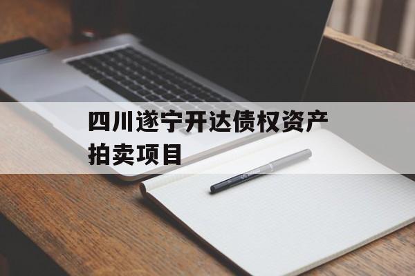 四川遂宁开达债权资产拍卖项目