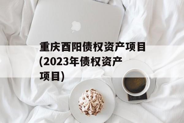 重庆酉阳债权资产项目(2023年债权资产项目)
