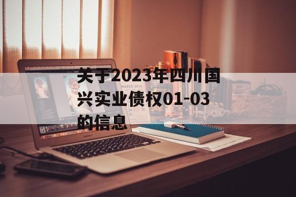 关于2023年四川国兴实业债权01-03的信息