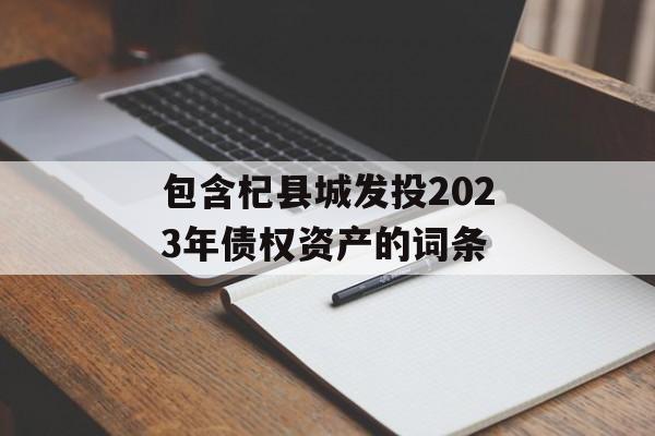 包含杞县城发投2023年债权资产的词条
