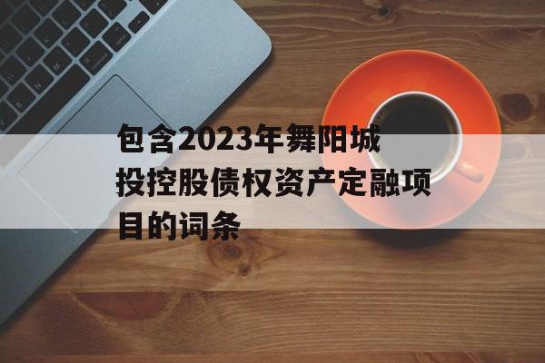 包含2023年舞阳城投控股债权资产定融项目的词条