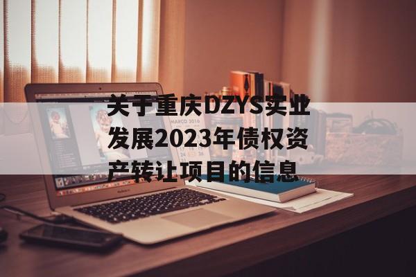 关于重庆DZYS实业发展2023年债权资产转让项目的信息