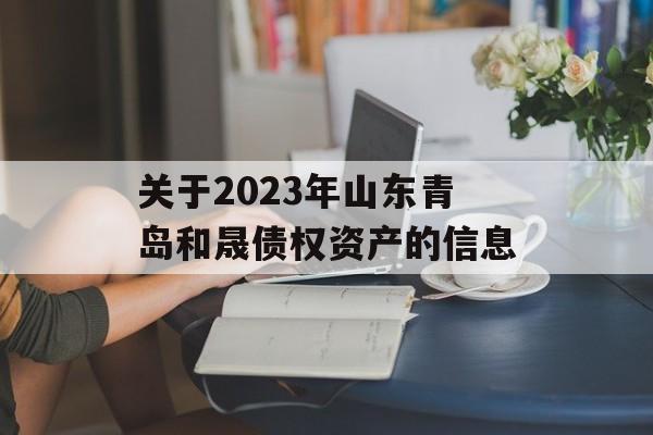 关于2023年山东青岛和晟债权资产的信息