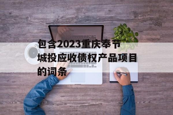 包含2023重庆奉节城投应收债权产品项目的词条