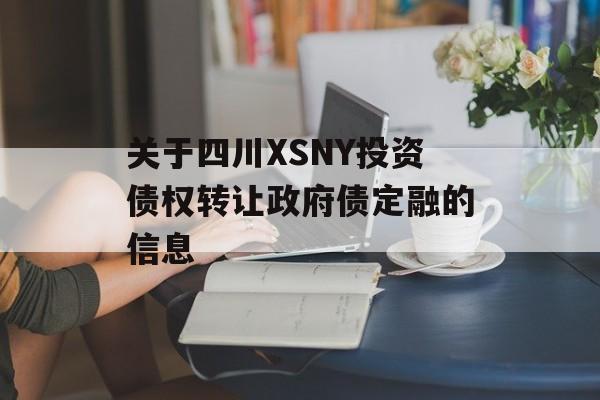 关于四川XSNY投资债权转让政府债定融的信息
