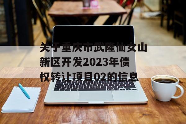 关于重庆市武隆仙女山新区开发2023年债权转让项目02的信息