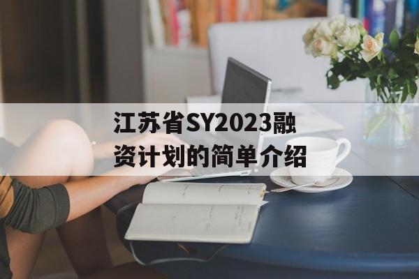 江苏省SY2023融资计划的简单介绍