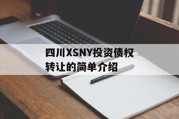 四川XSNY投资债权转让的简单介绍
