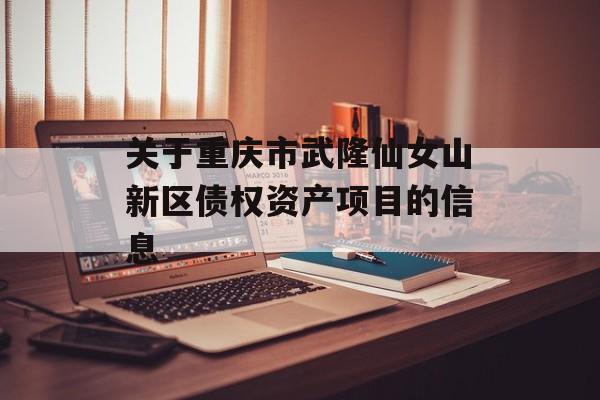 关于重庆市武隆仙女山新区债权资产项目的信息