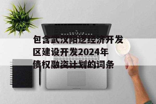 包含武汉阳逻经济开发区建设开发2024年债权融资计划的词条