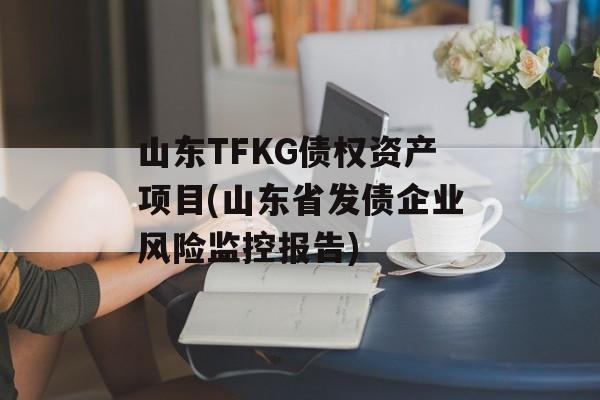 山东TFKG债权资产项目(山东省发债企业风险监控报告)