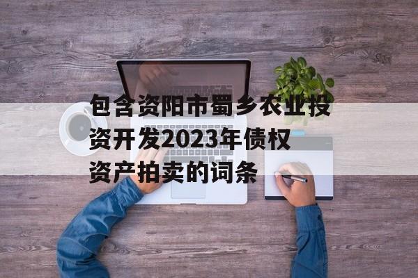 包含资阳市蜀乡农业投资开发2023年债权资产拍卖的词条