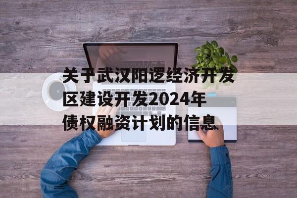 关于武汉阳逻经济开发区建设开发2024年债权融资计划的信息