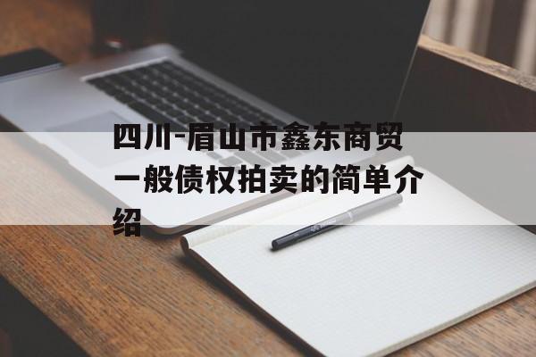 四川-眉山市鑫东商贸一般债权拍卖的简单介绍