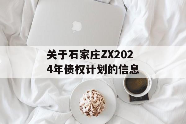 关于石家庄ZX2024年债权计划的信息