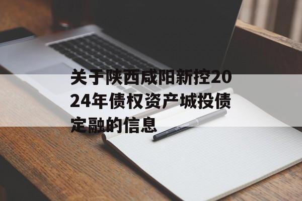 关于陕西咸阳新控2024年债权资产城投债定融的信息